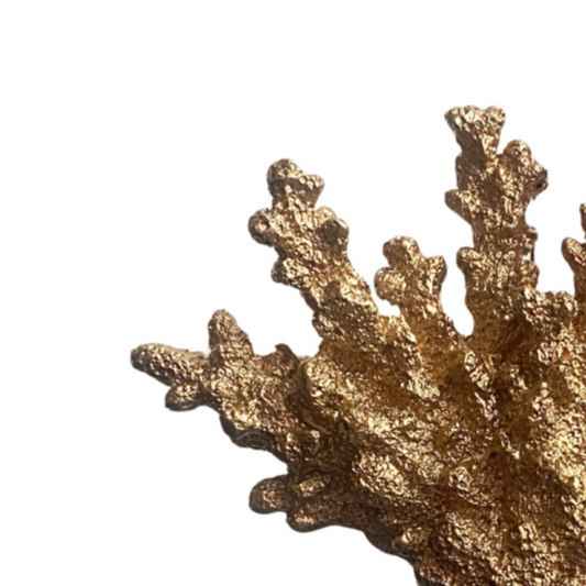 Koraal op voet goud/ brons 24x19x6cm