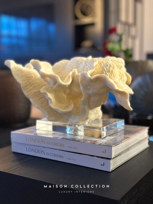 Koraal wit/creme op voet 38x23x20cm