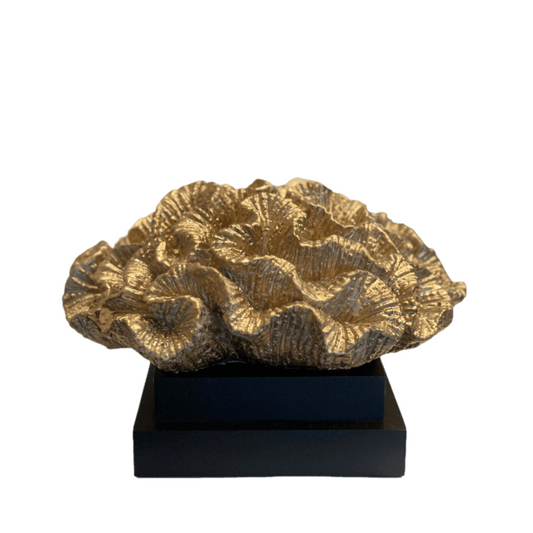 Koraal Coly goud op zwart voet 15x25cm