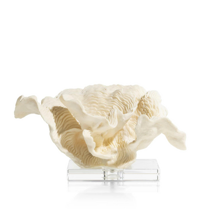 Koraal wit/creme op voet 38x23x20cm
