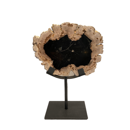 Versteend hout op standaard 25x19 cm